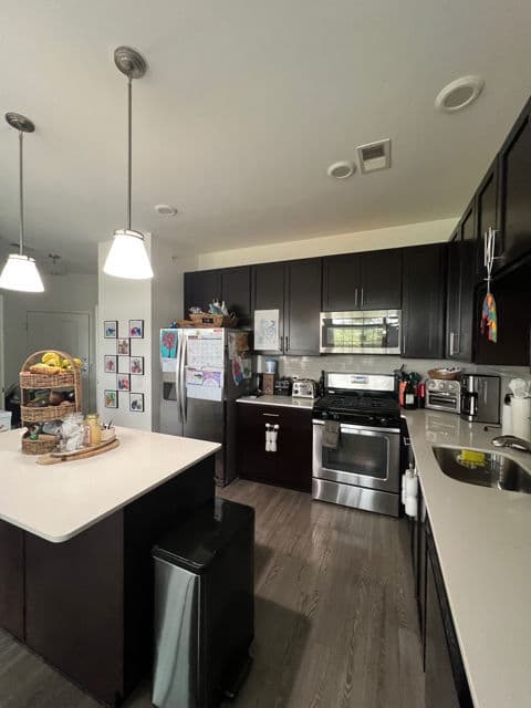 Project Ginas Cleanas Ensures Kitchen Sparkle Every Time image